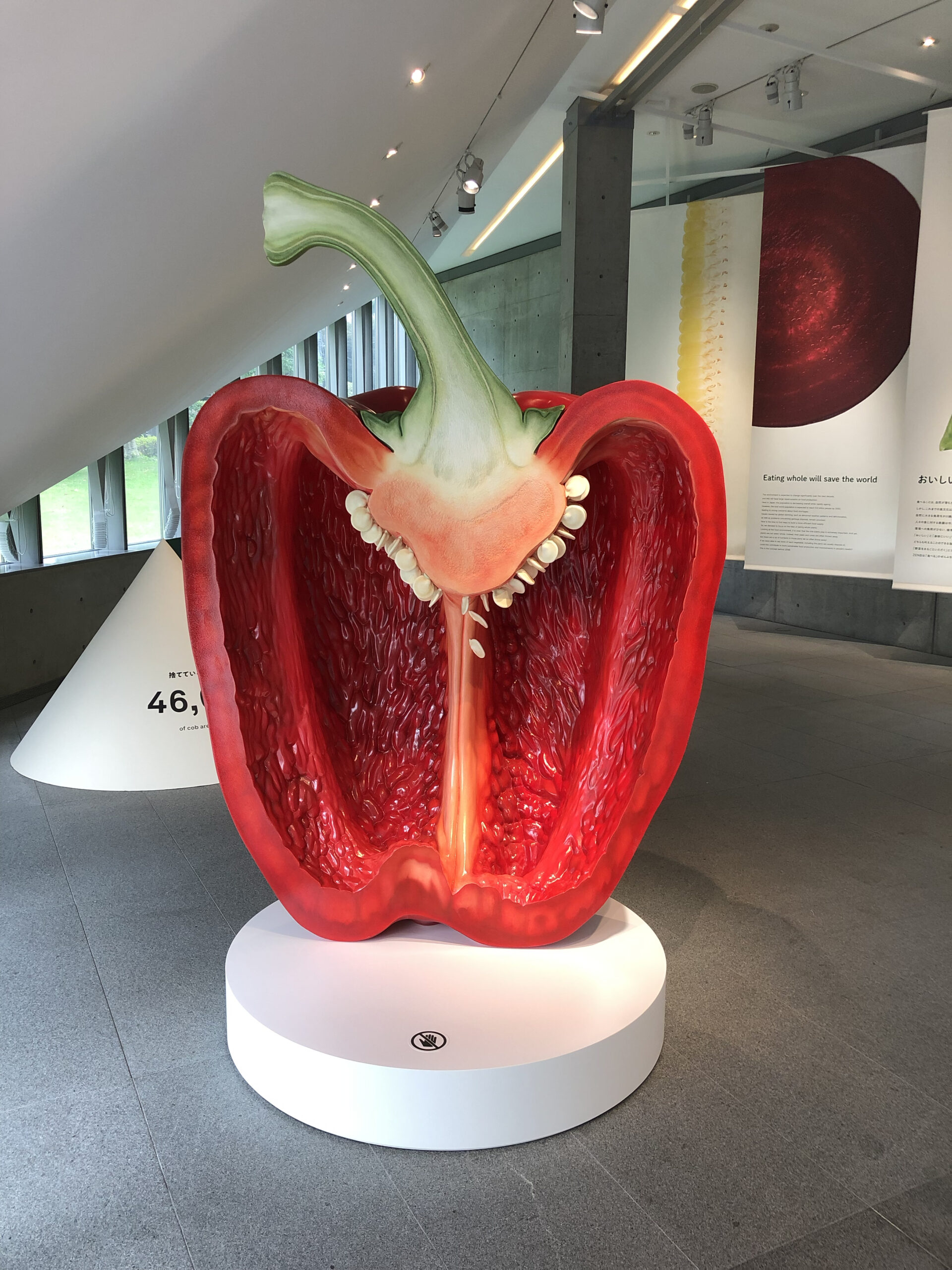 パプリカ断面拡大模型 Work 株式会社サンク アール Cinq Art